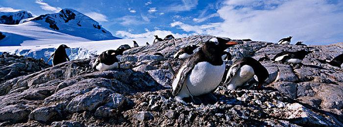 《电锯甜心RePOP》Switch版将推出帧率优化补丁 上线时间待定